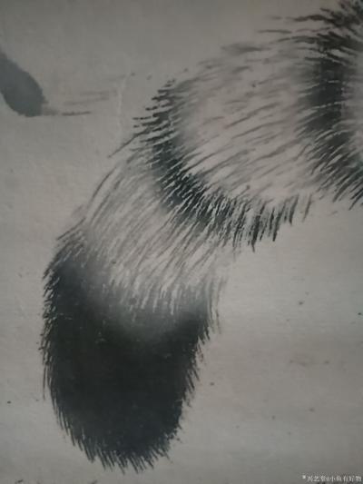 小鱼有好物收藏-老虎毛都是一根根硬刺，墨迹清晰。瞅着山下所有动物都是它的猎物。一脸的坏出息。军伐【图4】