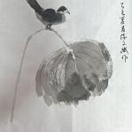 陈文斌日志-荷花鸟儿！【图1】