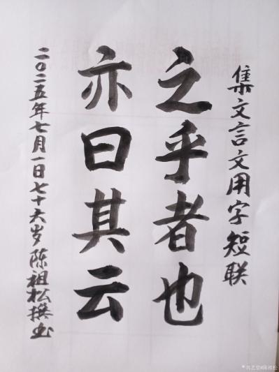 陈祖松日记-书法作品
之乎者也；
亦曰其云。
    这副由陈祖松先生创作的短联“‌之【图1】