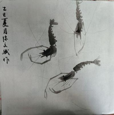 陈文斌日记-虾趣，自然和谐生态！【图1】