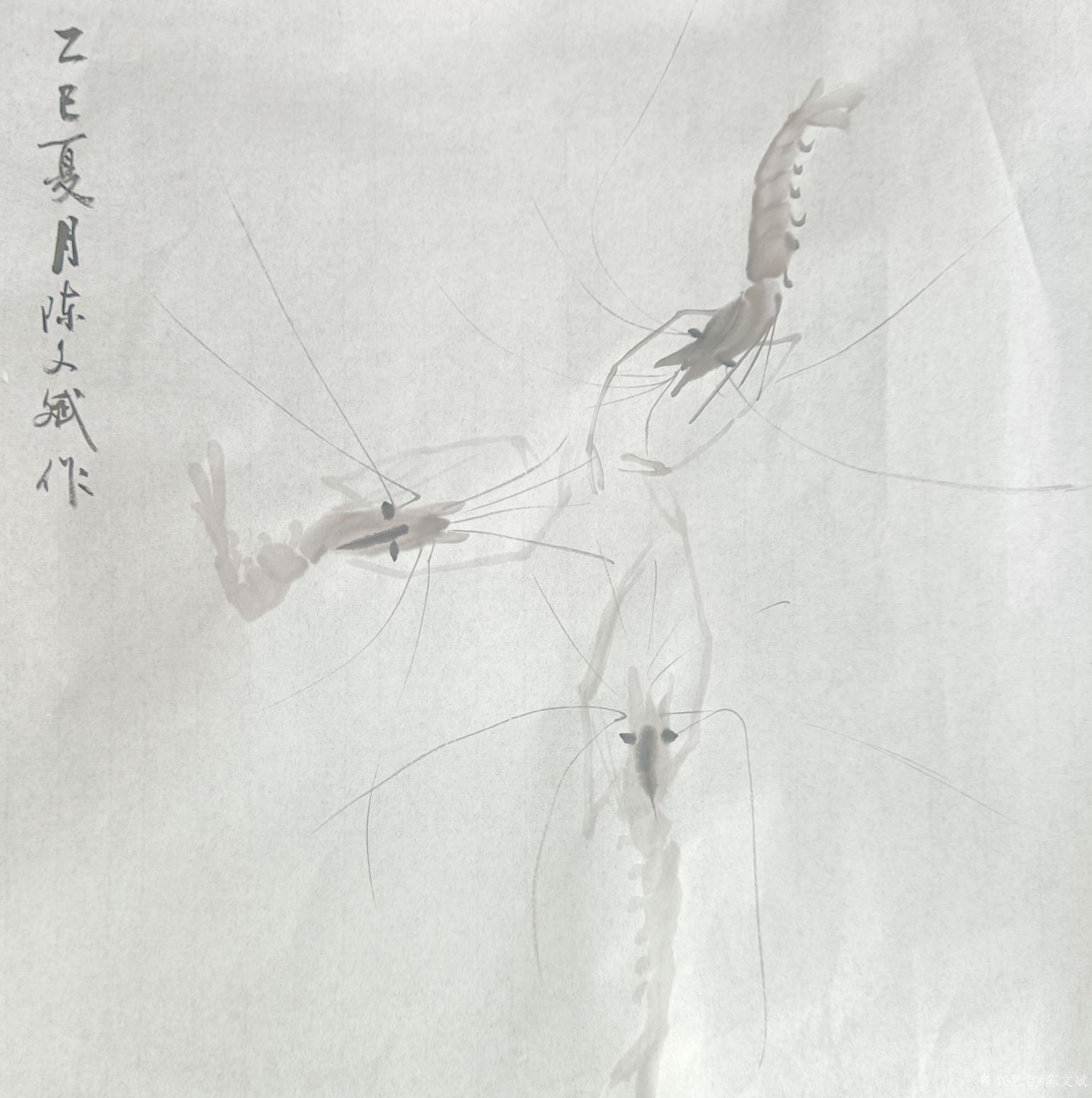 陈文斌国画作品《虾相会》【图0】