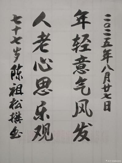 陈祖松日记-书法作品：
年轻意气风发；人老心思乐观。
   陈祖松楹联解析与评分
  【图1】