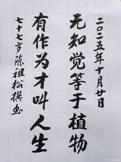 陈祖松日记-书法作品：无知觉等于植物；有作为才叫人生。
   陈祖松七字联