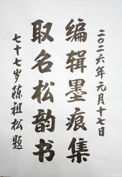 陈祖松日记-“墨痕松韵”联
编辑墨痕集;
取名松韵书。
  ‌陈祖松《墨痕集·松韵书》【图1】