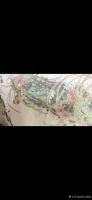 艺术家依玲国画收藏:国画花鸟画《兰》【图1】