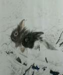 马晓薇日志-翻出一张兔年画的兔子，算算已有七八年了，现在看来还真是幼稚。【图1】