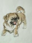 于波日志-《狗年旺旺》我的几幅小画。【图2】