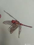 谷风日志-新作动物小品一组《蜻蜓》《蝴蝶》《牵牛》《知了》，与大家分享【图1】