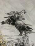 石川日志-国画动物 雄鹰系列作品《雄霸九天》    《鹏程万里》。
【图5】
