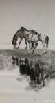 石川日志-国画动物 骏马系列 《清水河》《天上月亮》《马到成功》《群马【图1】