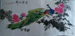陈忠良日志-国画孔雀系列，谢谢湘潭爱语女士慧眼及抬爱，收藏了我的五幅作品【图2】