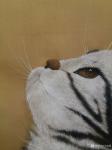 马晓薇日志-多年不画动物，尝试用绢画，感觉更细腻，【图2】