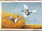 黎群日志-油画飞鸟系列作品《白天鹅》《鹦鹉》，尺寸60*90cm，已出【图1】