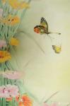 韩梅日志-新作工笔花鸟画《繁花似锦》，尺寸四尺整张68x138cm，附【图3】