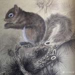 汪林日志-国画工笔动物画新作《松鼠》，尺寸50x50cm，第二幅工笔动【图1】