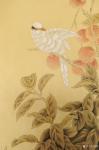 韩梅日志-国画花鸟工笔画新作《荔枝小鸟》，尺寸三尺55x100cm，附【图3】