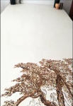 孙传海日志-扬州收藏家徐丹成道士定制收藏的八尺(244x122厘米)烙画【图4】