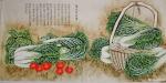 刘永红日志-国画工笔画《百财聚来图》2幅，古时文人雅士将白菜誉为“清白”【图1】