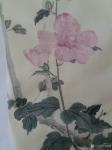 马晓薇日志-静物写生工笔花鸟画《木槿花》，素材为案头盆景。
春有百花秋【图2】