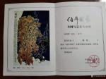 李青利荣誉-国画作品《暖秋》尺寸240X180CM，参加“伯年国艺”全国【图1】