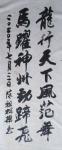 陈祖松日志-书法作品：龙行天下风范舞，马跃神州劲蹄飞。【图1】