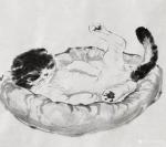 罗虹明日志-这两天画了个小手卷《懒猫》系列，像呆在家里的你吗？疫情反复，【图1】