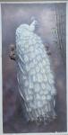 黎群日志-油画作品《纯洁》尺寸80X160㎝，白孔雀其全身洁白无瑕,羽【图1】
