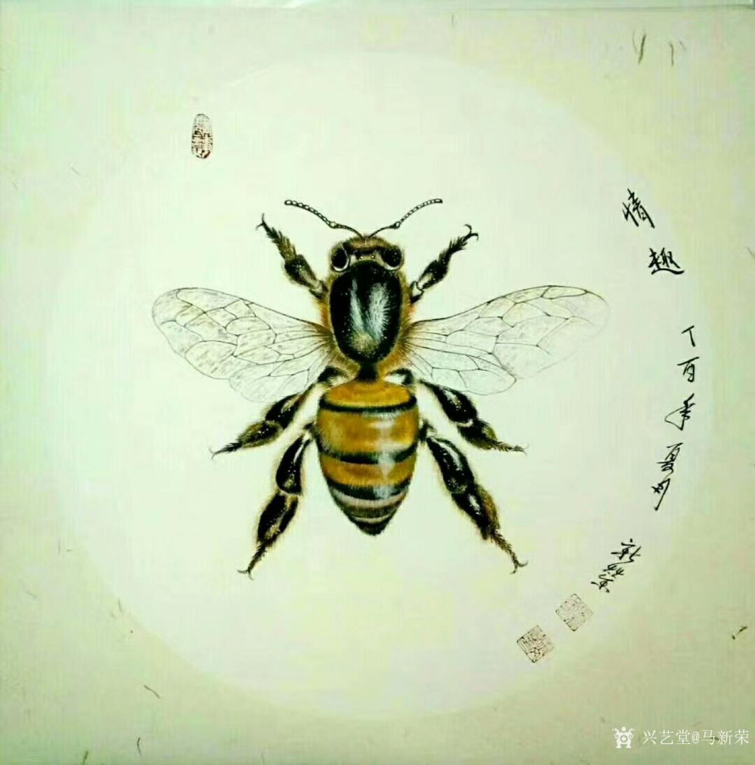 马新荣国画作品《蜜蜂》【图0】