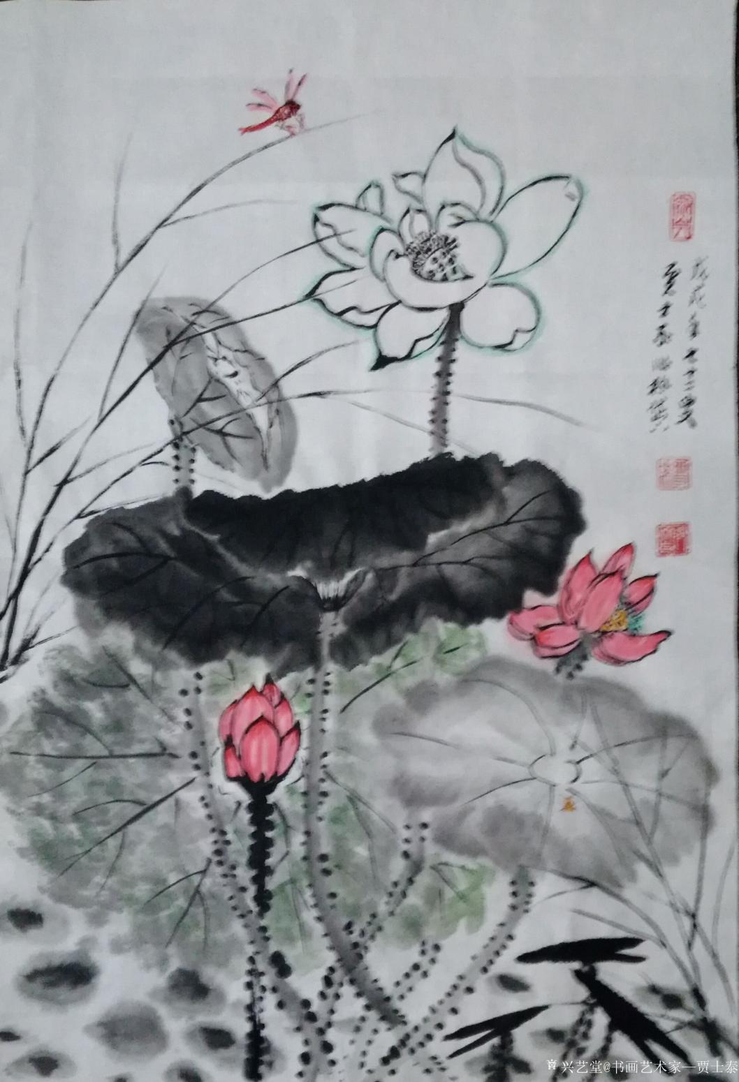 贾士泰国画作品《荷花》【图0】