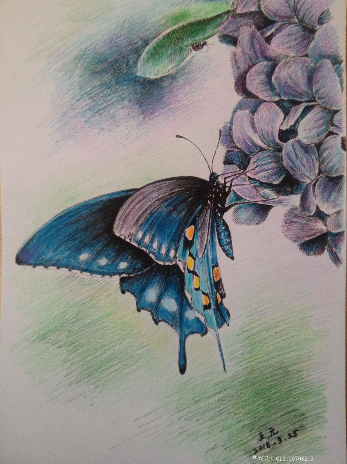 王元国画作品《钢笔画》【图0】