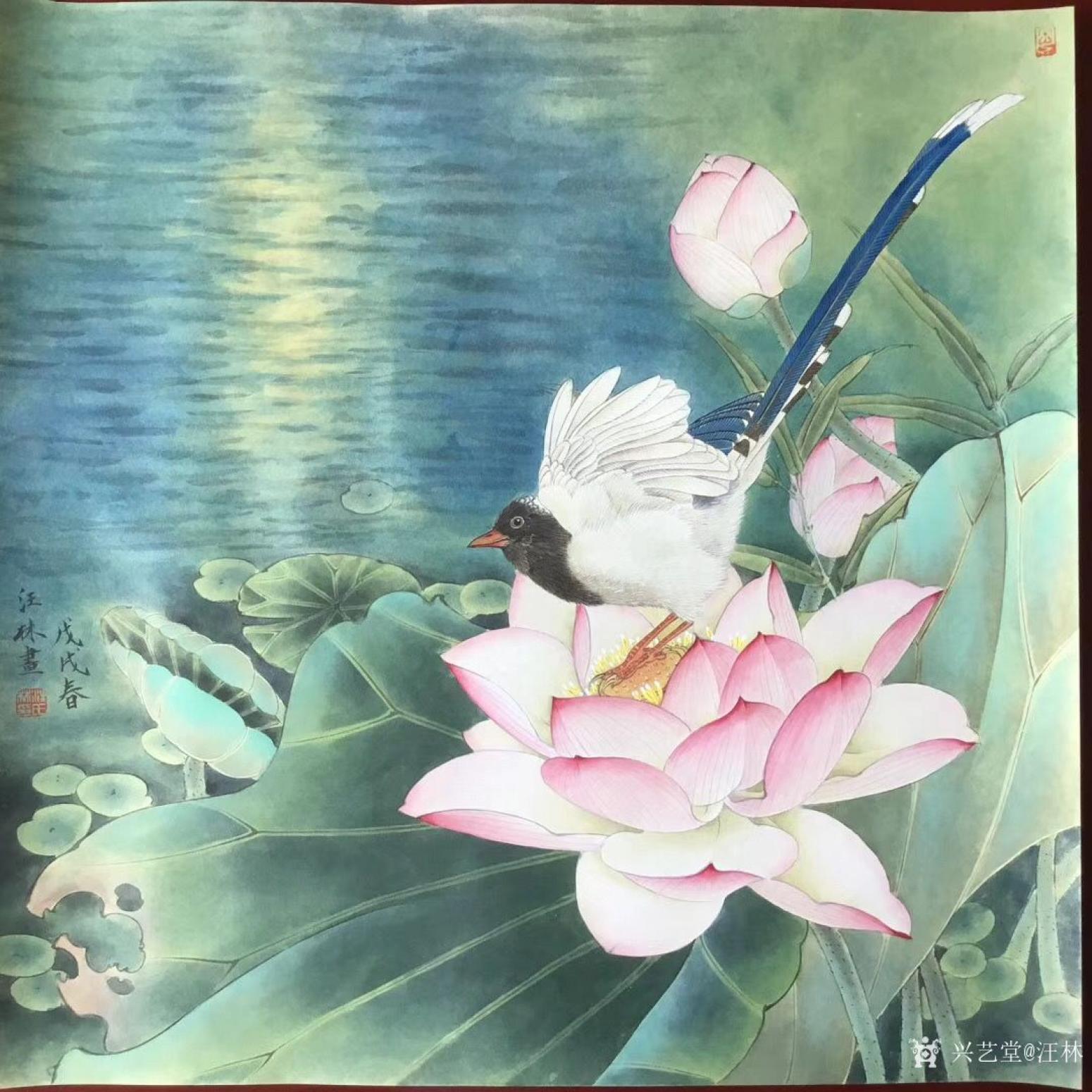 汪林国画作品《荷花蓝鹊》
