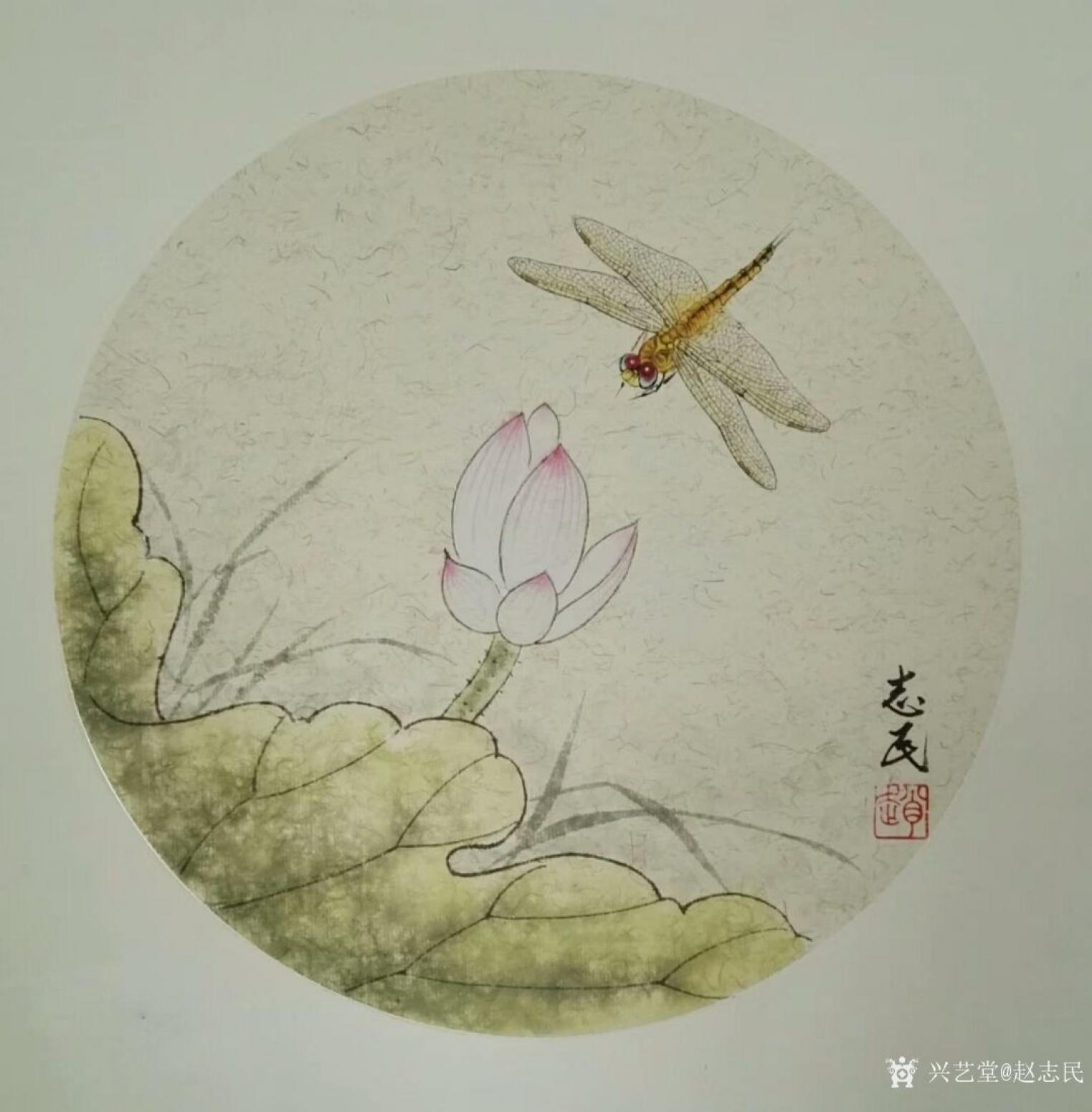 赵志民国画作品《蜻蜓》【图1】