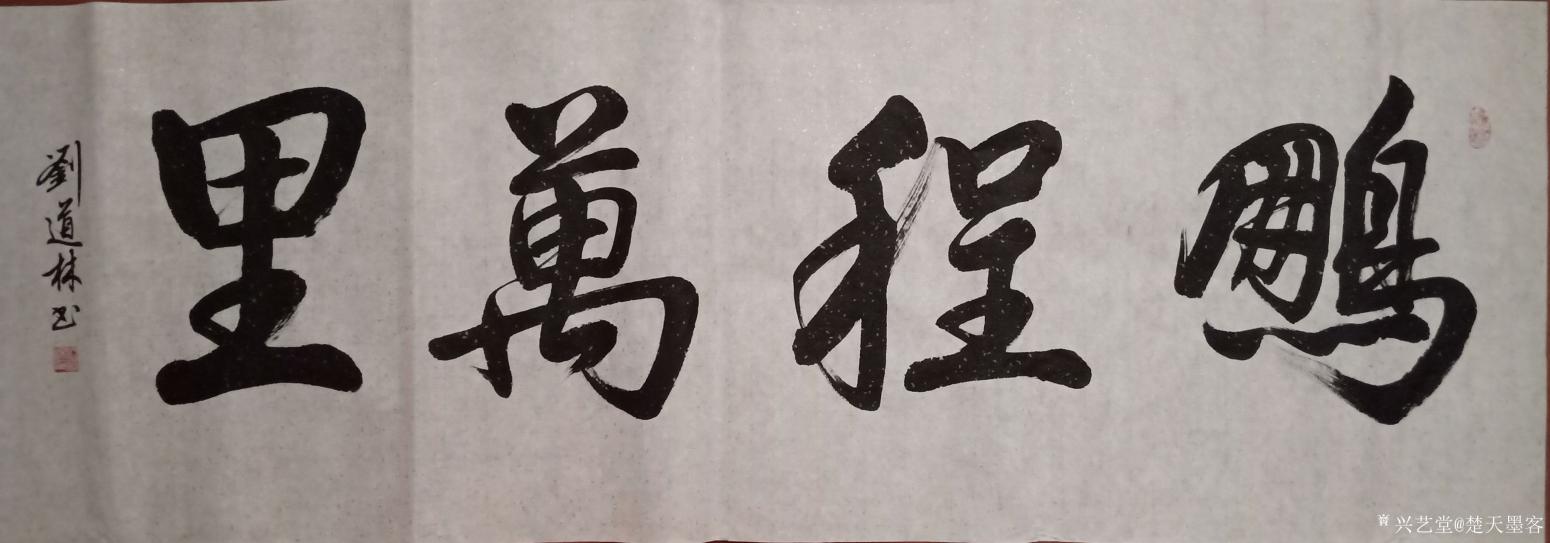 刘道林书法作品《鹏程万里》【图0】