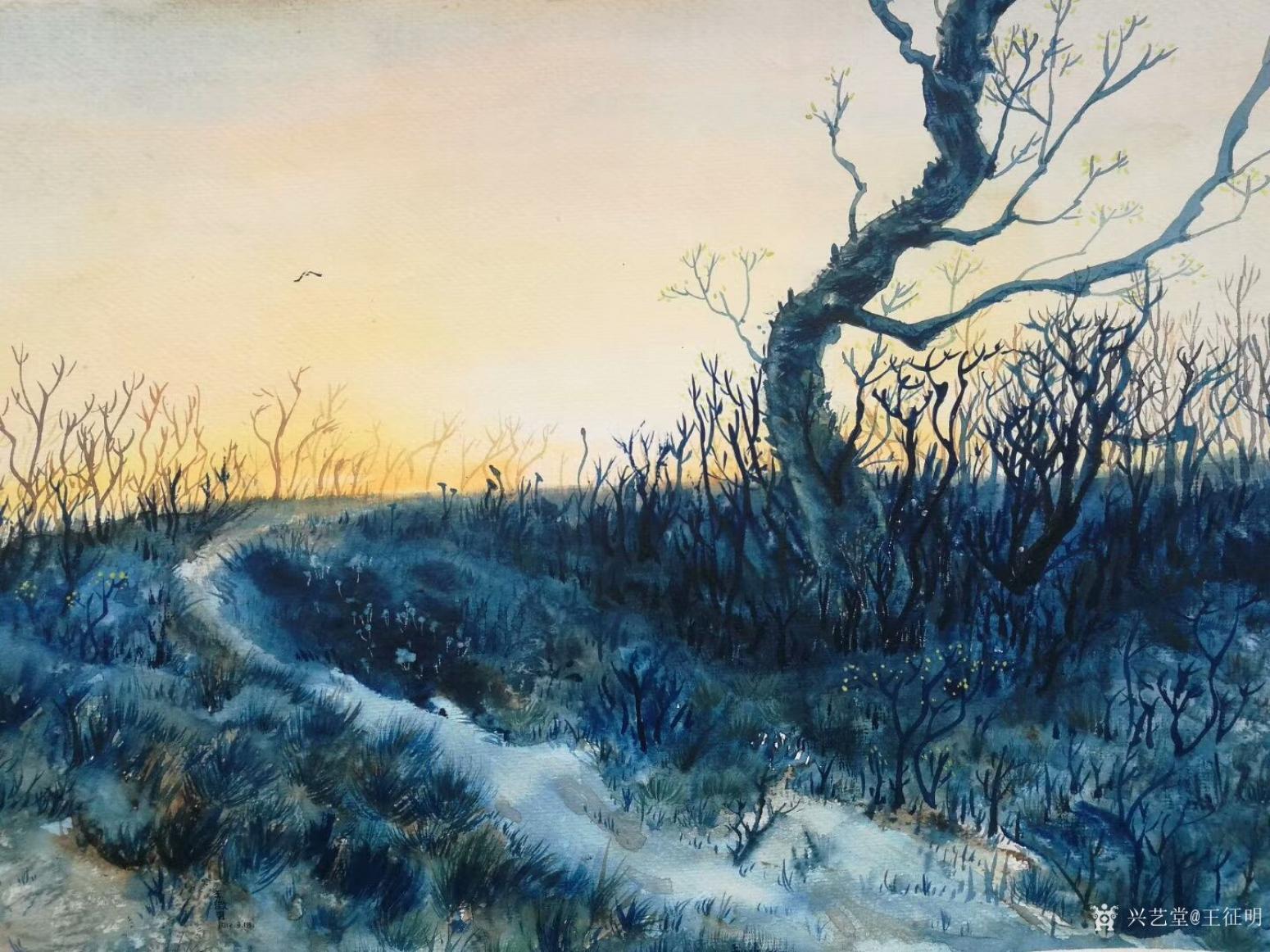 王征明国画作品《水意画晨曦》【图0】