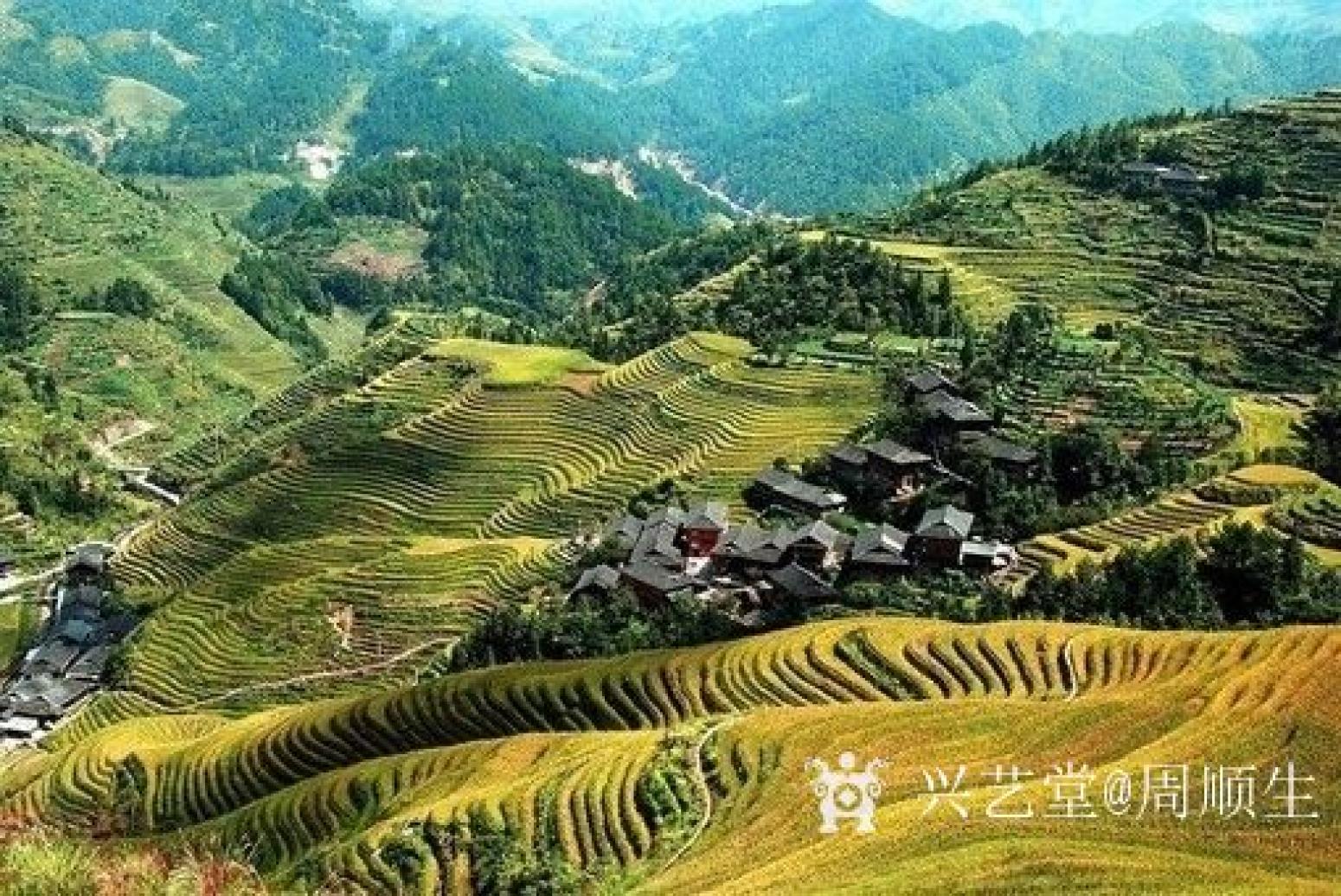 周顺生国画作品《四尺中堂瑶寨人家秋》【图2】