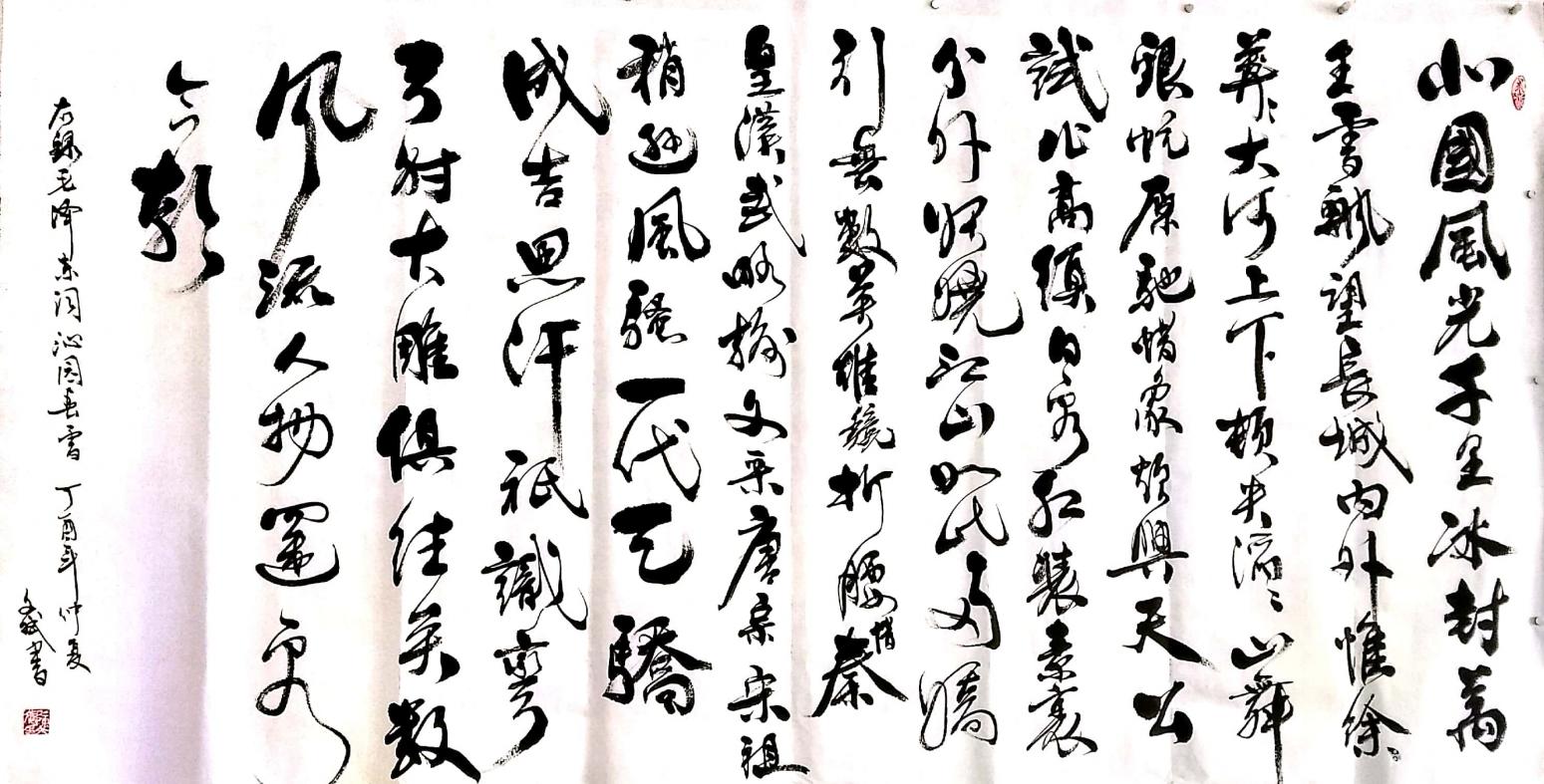 陈文斌书法作品《沁园春雪》【图0】