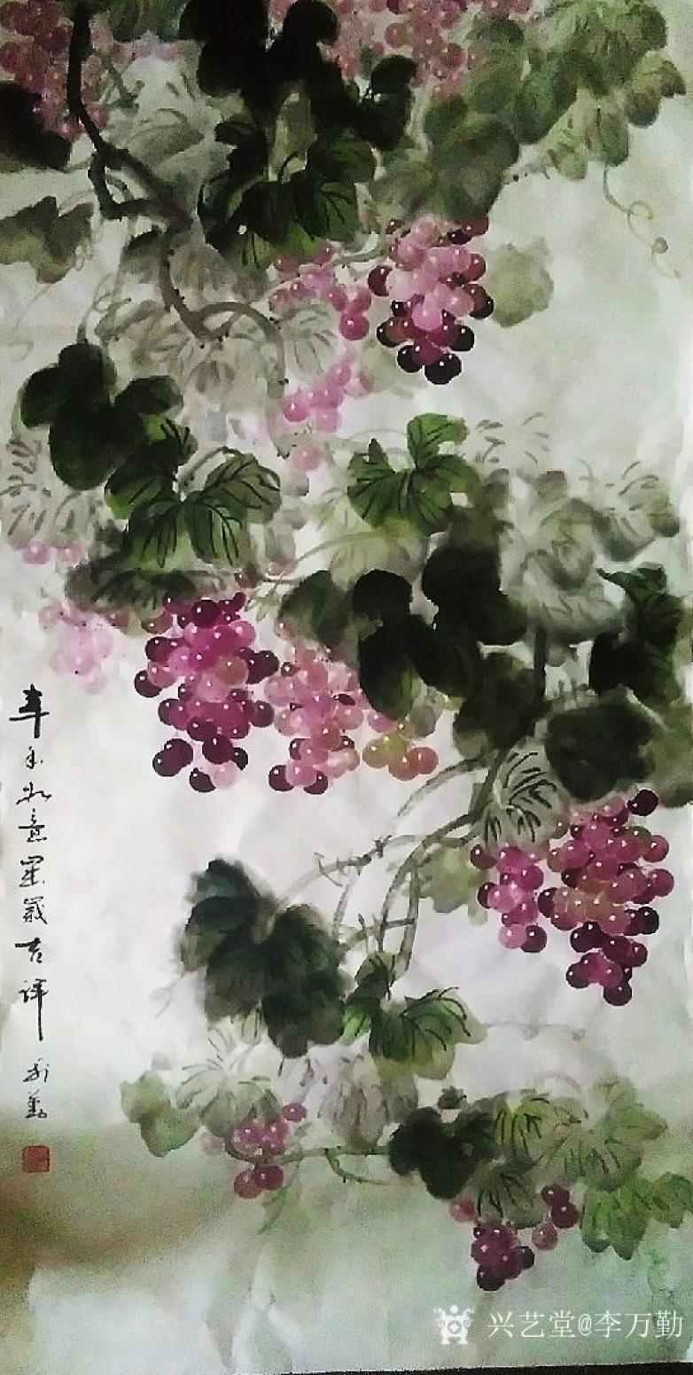 国画作品|四尺整张葡萄|李万勤_兴艺堂