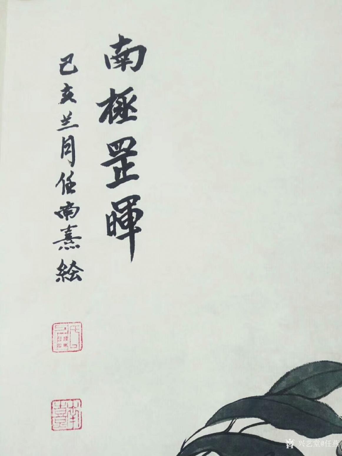 任燕国画作品《寿星-南极罡晖》【图1】