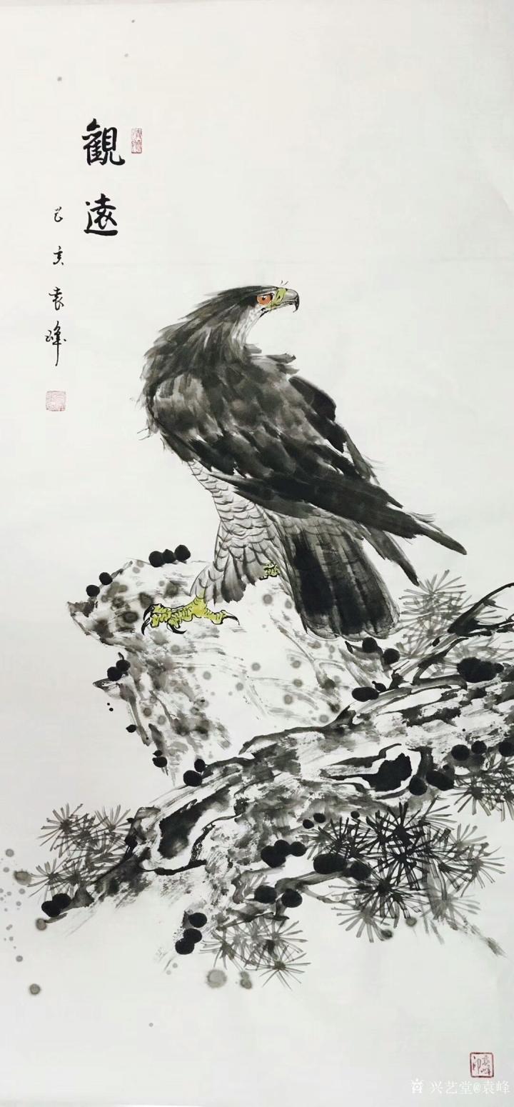 袁峰国画作品《鹰-观远》
