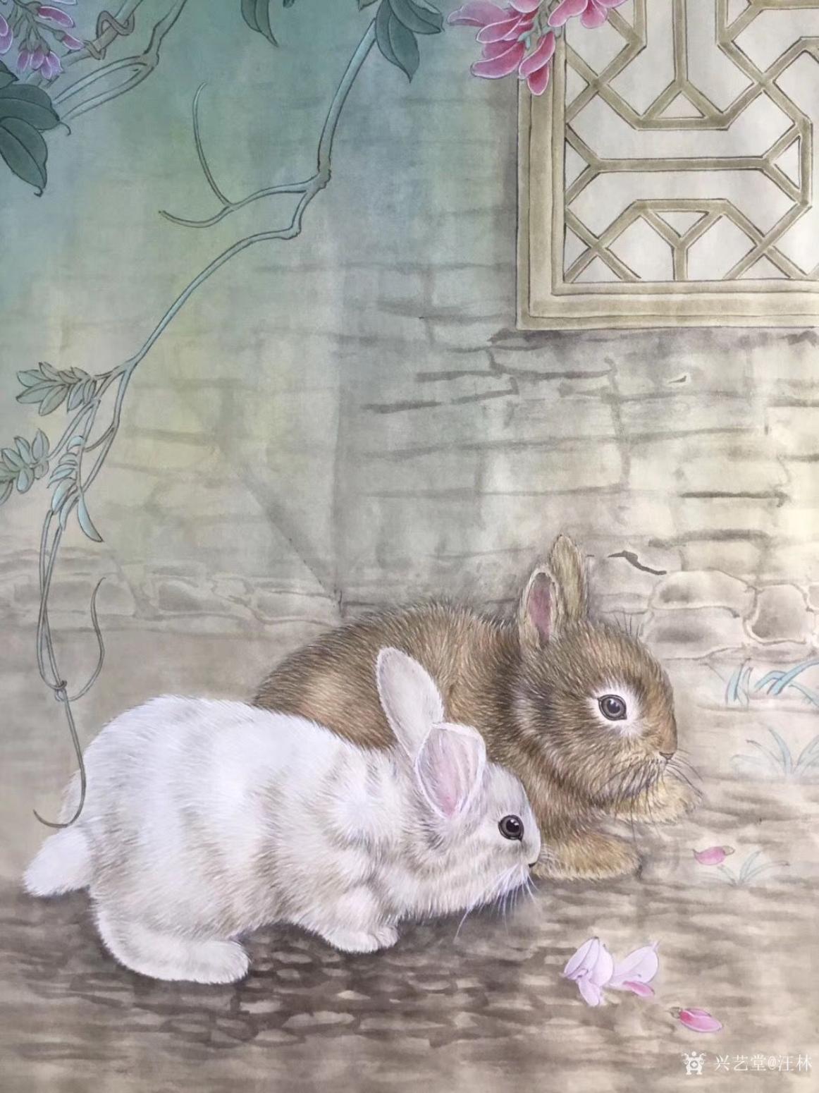 汪林国画作品《簕杜鹃花下的双兔图》【图2】