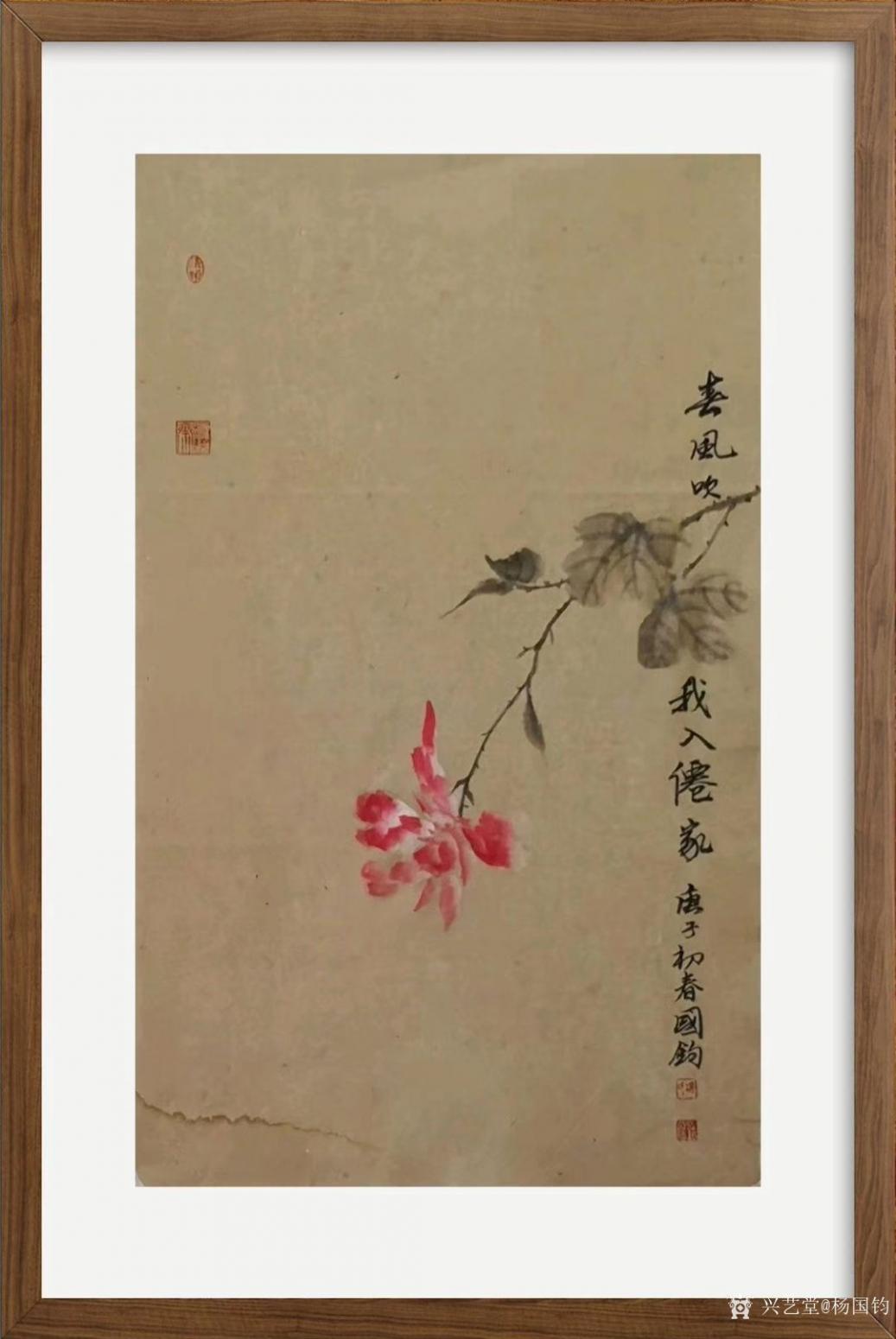 杨国钧国画作品《花鸟-春风吹我入农家》【图0】