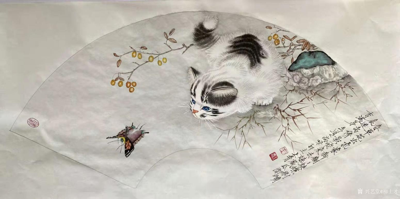 柳士才国画作品《猫咪-猫蝶图1》