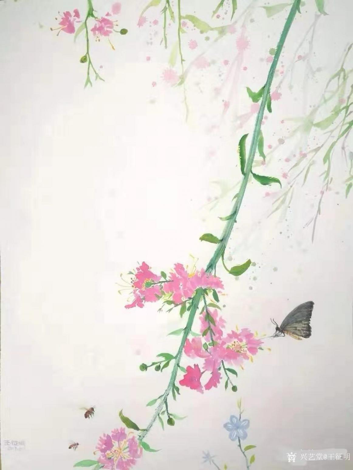 王征明国画作品《水意画“春之歌”》【图0】