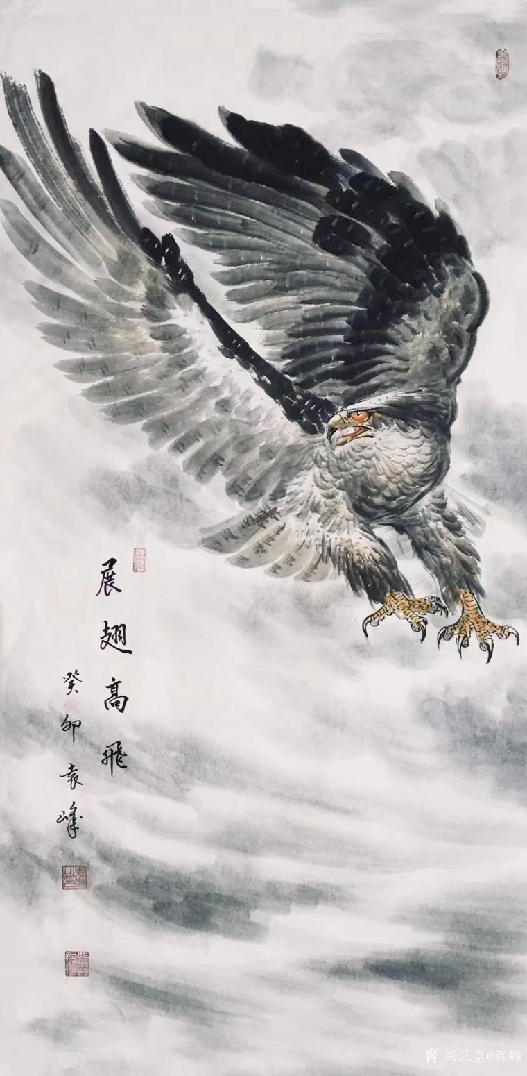 袁峰国画作品《鹰--展翅高飞》【图0】