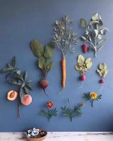 艺术家高腾高尔夫俱乐部收藏:艺术其实就在身边，蔬菜、水果，落叶，残花，都可以再次焕发生命【图0】
