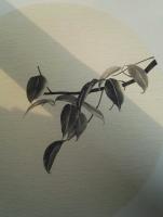 艺术家刘长亮日记:趋吉避凶是每个人的本能,超越吉凶是一个人的能力,需要一种智慧【图0】