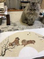 艺术家石广生日记:画狗不画猫，
咪咪有牢骚。
只是说不出，
心情有点糟。【图0】