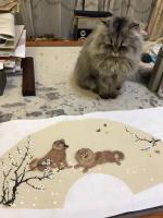 艺术家石广生日记:画狗不画猫，
咪咪有牢骚。
只是说不出，
心情有点糟。【图1】