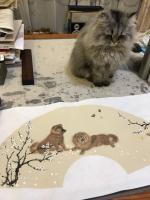 艺术家石广生日记:画狗不画猫，
咪咪有牢骚。
只是说不出，
心情有点糟。【图2】