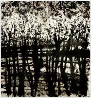 艺术家李忠信日记:焦墨绘画一李忠信的焦墨艺术世界————
花鸟【图4】